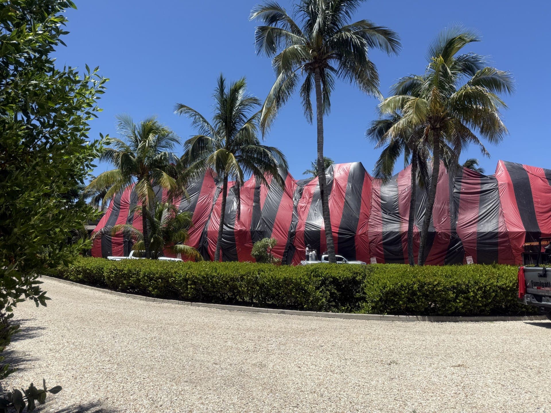 A building tented in red-and-black fumigation tarps behind a hedge, with a white KJC Fumigation pickup parked in front.